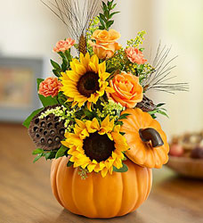 Sunny Pumpkin  Flower Power, Florist Davenport FL